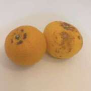 ヒメ日記 2025/12/22 19:33 投稿 加瀬はんな すべりん棒シャンプー娘。（横浜ハレ系）