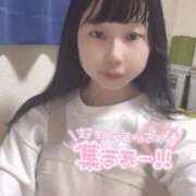 ヒメ日記 2025/04/10 07:45 投稿 みどり 奴隷コレクション