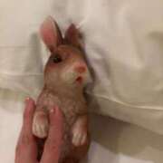 ヒメ日記 2025/04/12 22:58 投稿 いくみ 甲府人妻隊