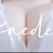 ヒメ日記 2024/12/15 09:16 投稿 かえで☆ CLUB PIAA