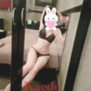 ヒメ日記 2024/12/24 23:56 投稿 かえで☆ CLUB PIAA