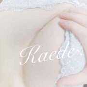 ヒメ日記 2025/01/21 09:06 投稿 かえで☆ CLUB PIAA