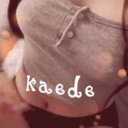 ヒメ日記 2025/03/16 09:16 投稿 かえで☆ CLUB PIAA