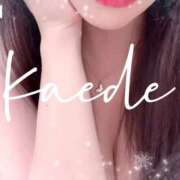 ヒメ日記 2025/03/22 12:16 投稿 かえで☆ CLUB PIAA