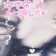 ヒメ日記 2025/03/25 09:16 投稿 かえで☆ CLUB PIAA