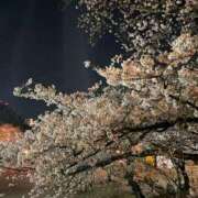 ヒメ日記 2025/04/24 12:00 投稿 かえで☆ CLUB PIAA