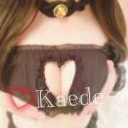 ヒメ日記 2025/06/21 21:00 投稿 かえで☆ CLUB PIAA