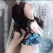 ヒメ日記 2025/09/01 09:00 投稿 かえで☆ CLUB PIAA