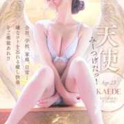 ヒメ日記 2025/11/01 12:00 投稿 かえで☆ CLUB PIAA