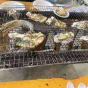 ヒメ日記 2026/02/19 13:23 投稿 かえで☆ CLUB PIAA