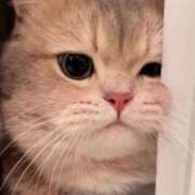 ヒメ日記 2025/09/17 23:50 投稿 もあ マリアージュ熊谷