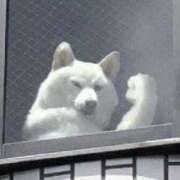 ヒメ日記 2025/09/24 15:00 投稿 もあ マリアージュ熊谷