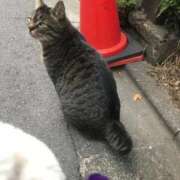 ヒメ日記 2025/12/21 15:50 投稿 もあ マリアージュ熊谷