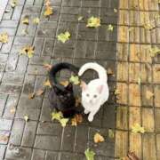 もあ おはよう2026 マリアージュ熊谷