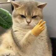 もあ 変更⭐︎ マリアージュ熊谷