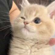 ヒメ日記 2026/02/02 14:20 投稿 もあ マリアージュ熊谷