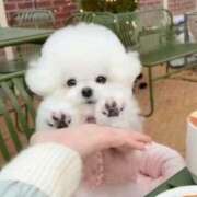 ヒメ日記 2026/02/02 16:50 投稿 もあ マリアージュ熊谷