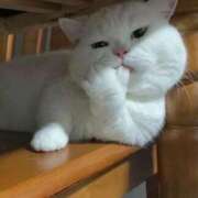 ヒメ日記 2026/02/13 13:10 投稿 もあ マリアージュ熊谷