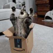 ヒメ日記 2026/02/21 11:20 投稿 もあ マリアージュ熊谷