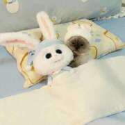 ヒメ日記 2026/02/22 11:20 投稿 もあ マリアージュ熊谷