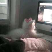 ヒメ日記 2026/03/06 14:59 投稿 もあ マリアージュ熊谷