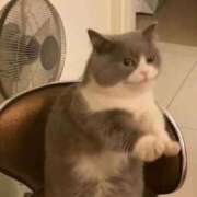 ヒメ日記 2026/03/25 21:11 投稿 もあ マリアージュ熊谷