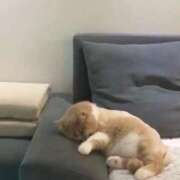 ヒメ日記 2026/03/27 05:50 投稿 もあ マリアージュ熊谷