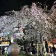 ヒメ日記 2026/04/01 12:50 投稿 もあ マリアージュ熊谷