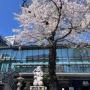 ヒメ日記 2026/04/04 13:00 投稿 もあ マリアージュ熊谷