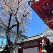 ヒメ日記 2026/04/06 05:10 投稿 もあ マリアージュ熊谷