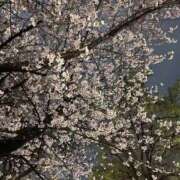 ヒメ日記 2026/04/19 12:40 投稿 もあ マリアージュ熊谷