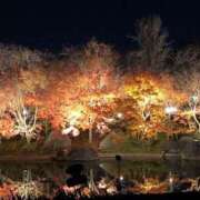 ヒメ日記 2025/01/01 11:04 投稿 ほのか 即アポ奥さん ～津・松阪店～