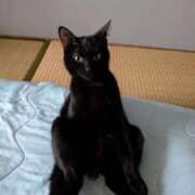 ヒメ日記 2025/09/17 12:54 投稿 ほのか 即アポ奥さん ～津・松阪店～