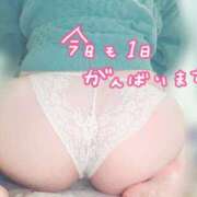 ヒメ日記 2024/12/27 06:16 投稿 さな 京都祇園・南インターちゃんこ