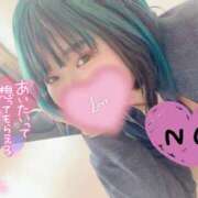 ヒメ日記 2025/02/14 12:41 投稿 さな 京都祇園・南インターちゃんこ