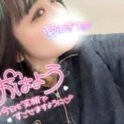 ヒメ日記 2025/02/22 09:50 投稿 さな 京都祇園・南インターちゃんこ