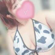 ヒメ日記 2025/03/08 18:03 投稿 さな 京都祇園・南インターちゃんこ