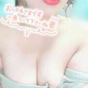 ヒメ日記 2025/03/27 14:17 投稿 さな 京都祇園・南インターちゃんこ