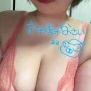 ヒメ日記 2025/03/30 01:31 投稿 さな 京都祇園・南インターちゃんこ