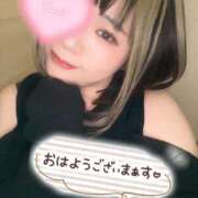 ヒメ日記 2025/04/06 07:15 投稿 さな 京都祇園・南インターちゃんこ