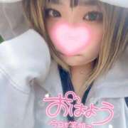 ヒメ日記 2025/04/15 07:31 投稿 さな 京都祇園・南インターちゃんこ