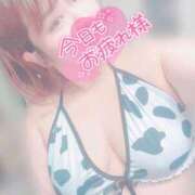 ヒメ日記 2025/04/27 19:02 投稿 さな 京都祇園・南インターちゃんこ