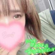 ヒメ日記 2025/07/08 12:50 投稿 さな 京都祇園・南インターちゃんこ