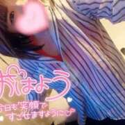 ヒメ日記 2025/07/22 07:49 投稿 さな 京都祇園・南インターちゃんこ