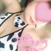 ヒメ日記 2025/10/09 07:34 投稿 さな 京都祇園・南インターちゃんこ