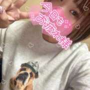 ヒメ日記 2025/11/14 12:41 投稿 さな 京都祇園・南インターちゃんこ