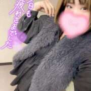 ヒメ日記 2026/01/07 14:24 投稿 さな 京都祇園・南インターちゃんこ