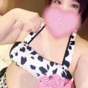 ヒメ日記 2026/02/10 11:47 投稿 さな 京都祇園・南インターちゃんこ