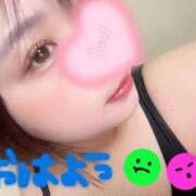 ヒメ日記 2026/03/24 07:31 投稿 さな 京都祇園・南インターちゃんこ