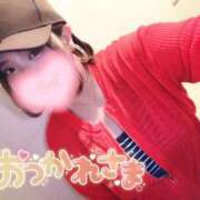 ヒメ日記 2026/05/20 12:52 投稿 さな 京都祇園・南インターちゃんこ